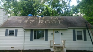 roof website picture 6